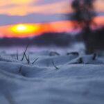 Winterfoto von Lisa Hartung in Fohrde