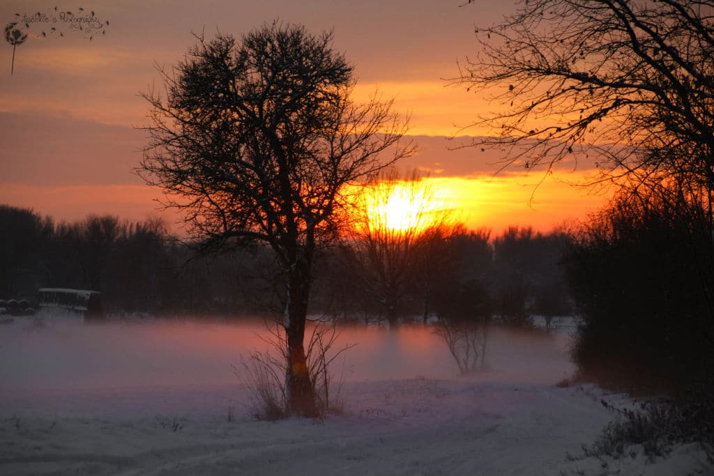 Winterliches Sonnenuntergangsfoto über Fohrde