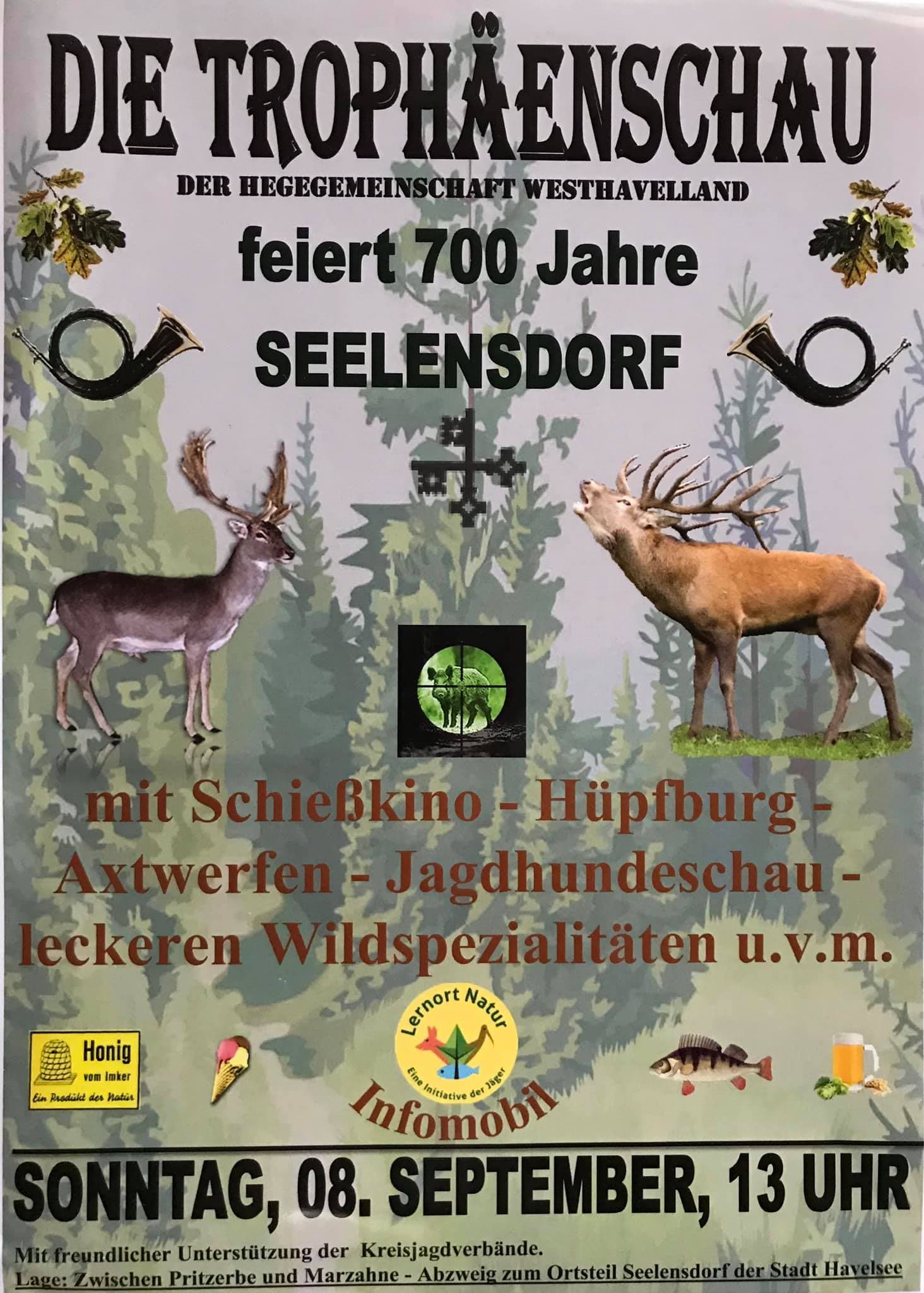 tropaeenschau-seelensdorf-2019