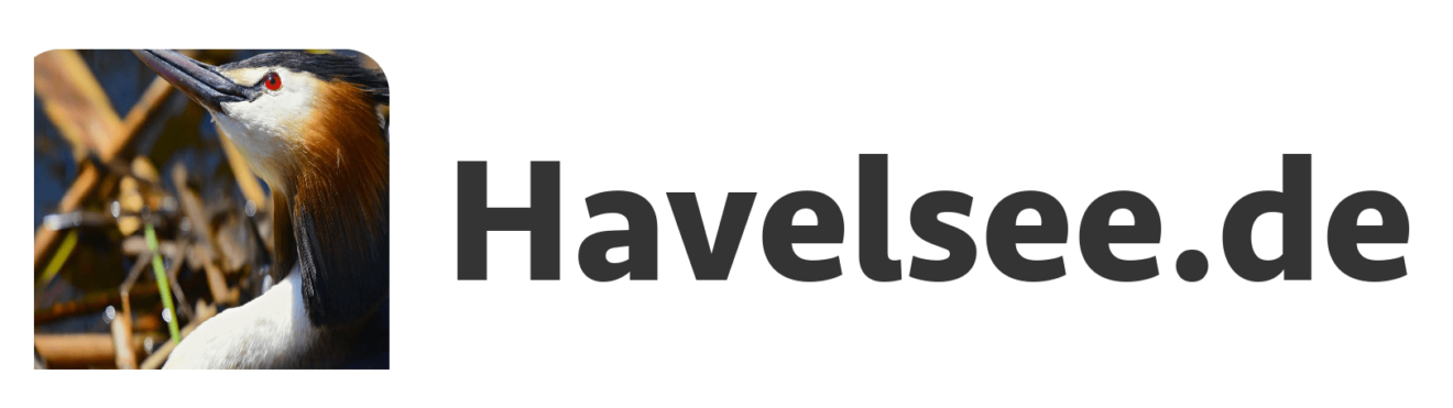 havelsee-newsletter-logo