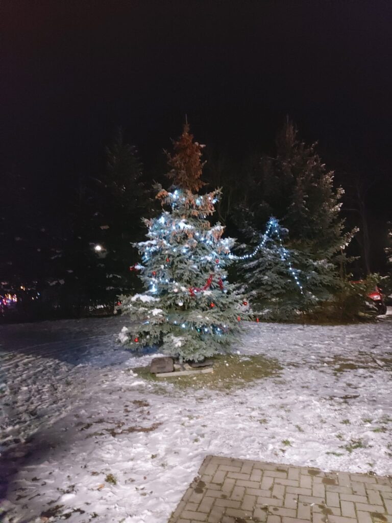 tanz-unterm-weihnachtsbaum-hohenferchesar-2022-3