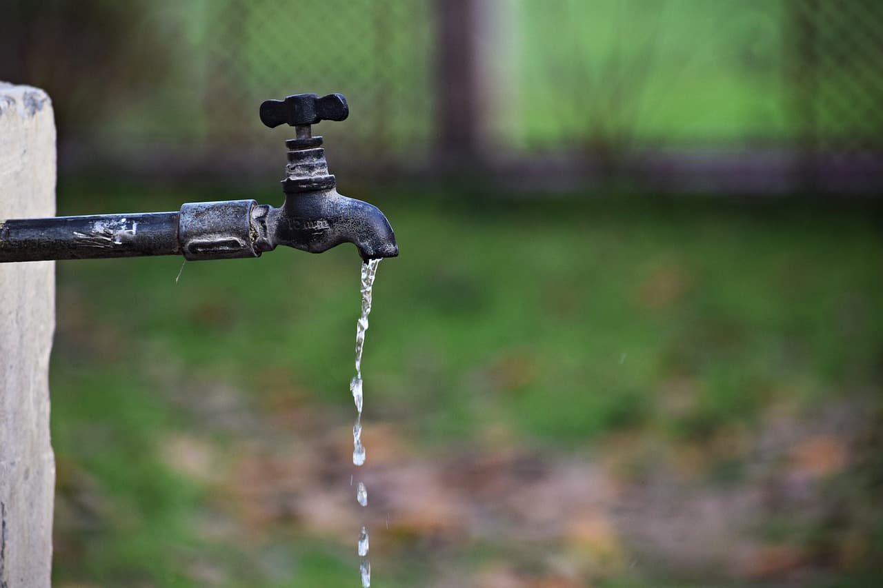 Wasser sparen: Bewässerungsverbot im Landkreis Potsdam-Mittelmark
