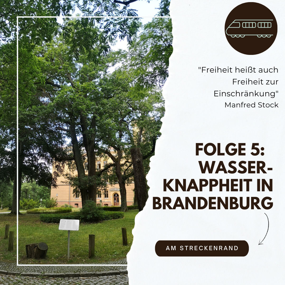 5. Podcastfolge „Am Streckenrand“ der Villa Fohrde: Wasserknappheit in Brandenburg